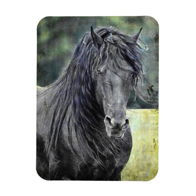 Friesian Stallion Magnet (Vertical)