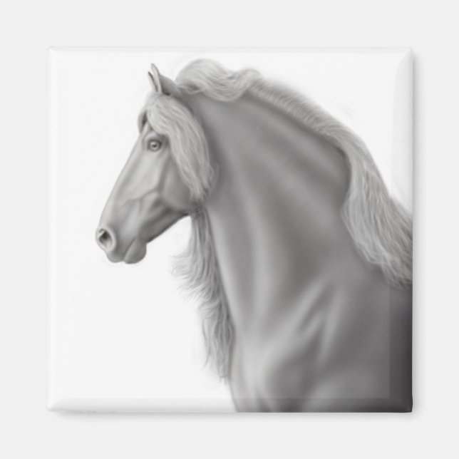 Friesian Stallion Magnet (Front)