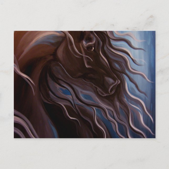 Friesian Storm Postcard (Front)