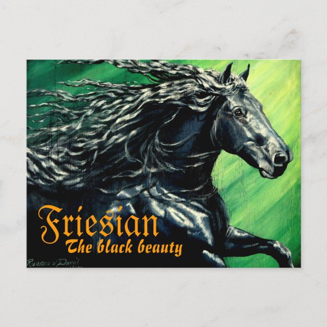 Friesian, The black beuaty, stallion horse Postcard (Front)