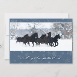 Friesian Yearlings Holiday Card
