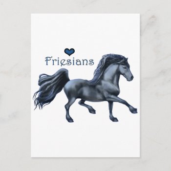 Friesians Love Postcard by bhymer at Zazzle