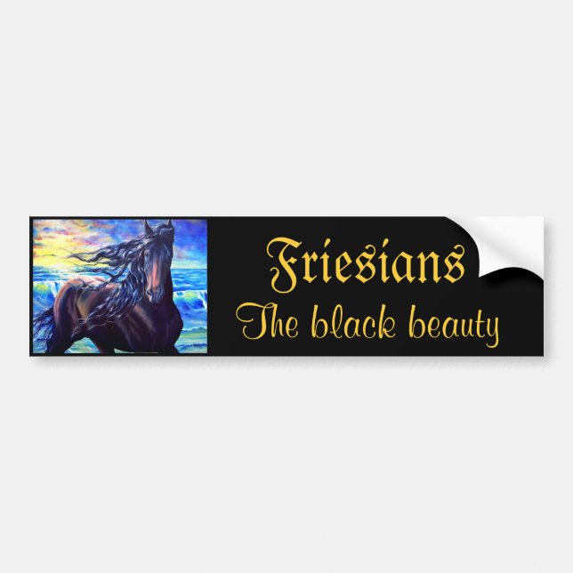 Friesians, the black beauty bumper sticker (Front)