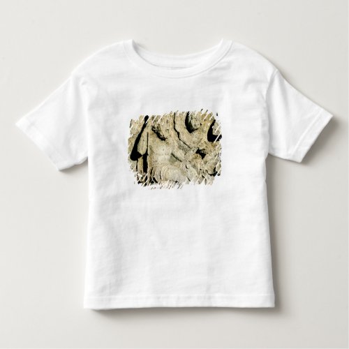 Frieze depicting King Priam and Hecuba Toddler T_shirt