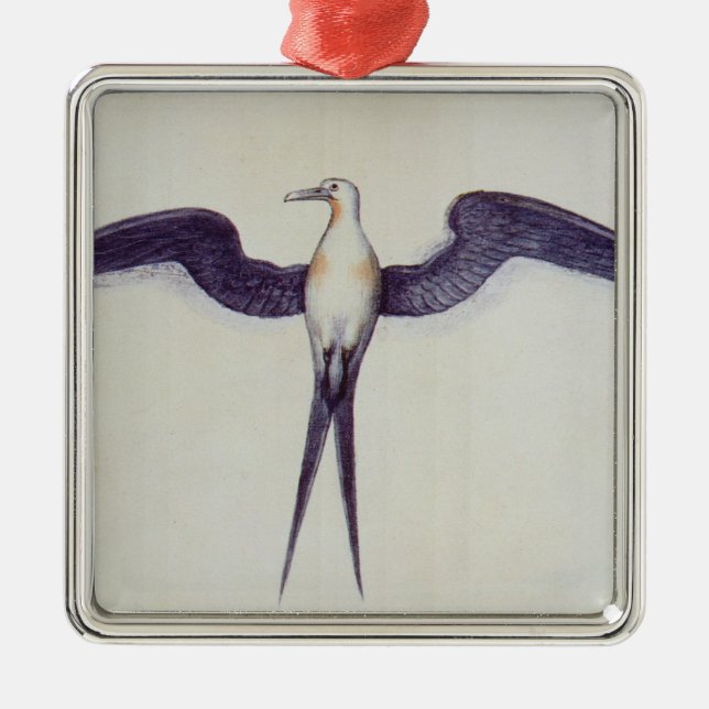 Frigate Bird Metal Ornament (Front)