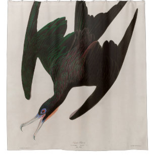 Frigate Pelican Birds of America Audubon Print Shower Curtain