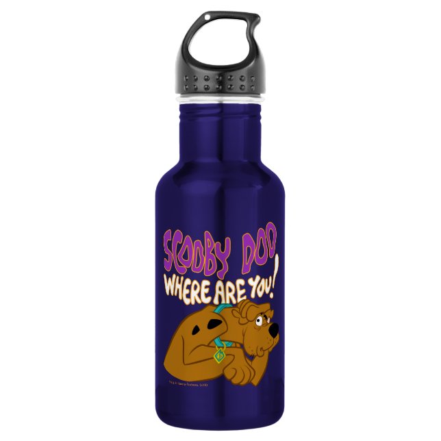 Frightened Scooby-Doo Stainless Steel Water Bottle (Front)