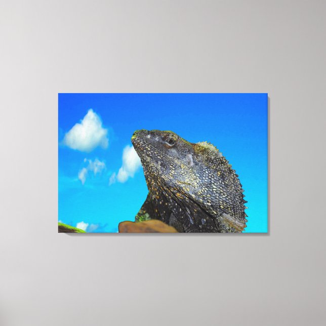 Frill necked Lizard  Canvas Print (Front)