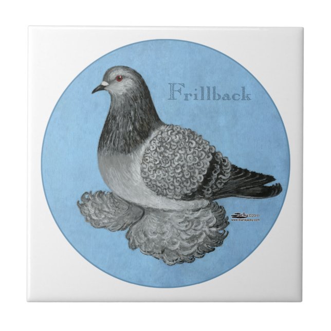 Frillback Blue Grizzle Pigeon Ceramic Tile (Front)