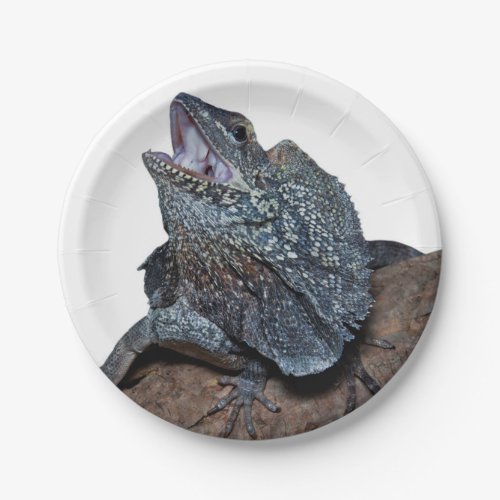 Frilled_neck lizard paper plates