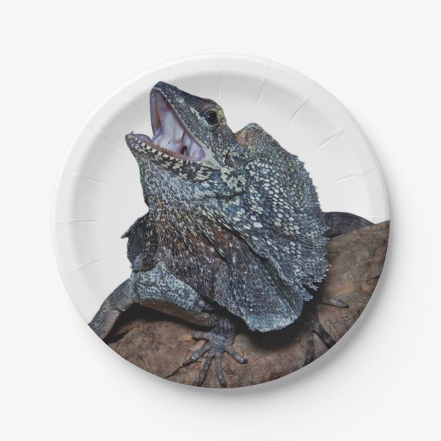 Frilled-neck lizard paper plates (Front)