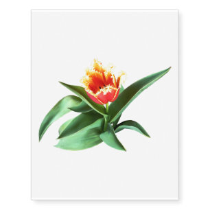 Frilly Orange Tulip Temporary Tattoos