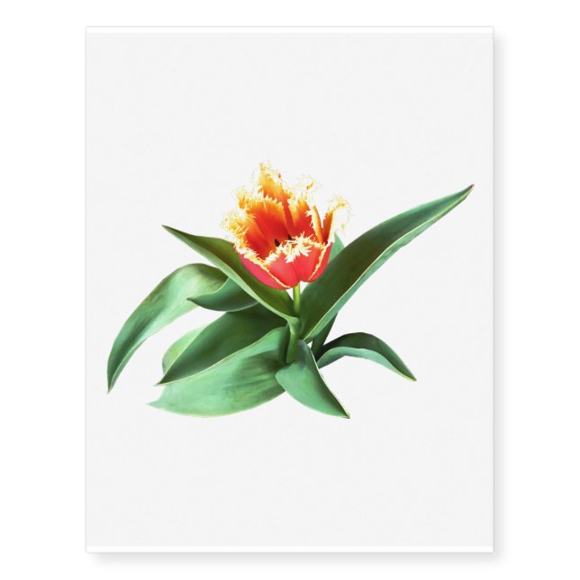 Frilly Orange Tulip Temporary Tattoos (Front)