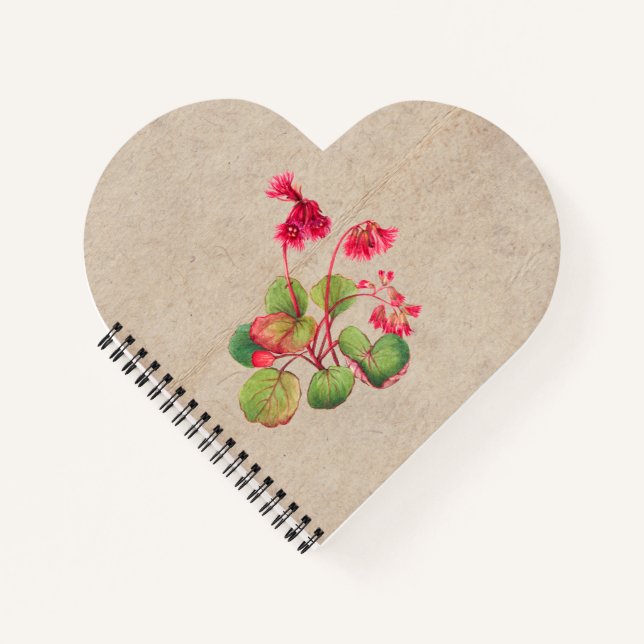 Fringed Galax Flower Notebook (Front)