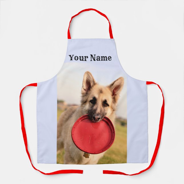 Frisbee Apron (Front)