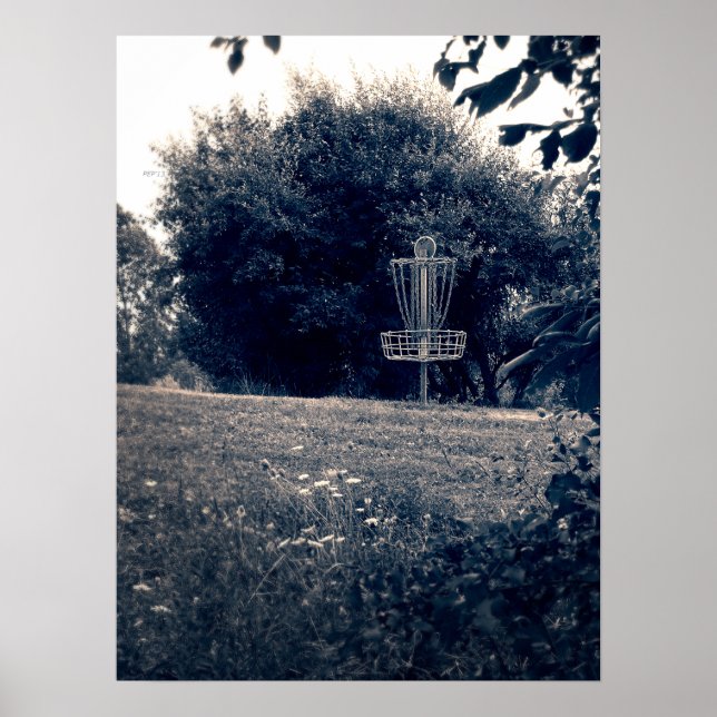 Frisbee Disc Golf Basket Poster (Front)