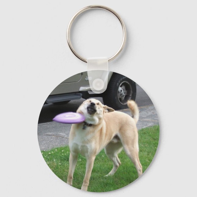 Frisbee Dog Meme Double Sided Keychain (Front)
