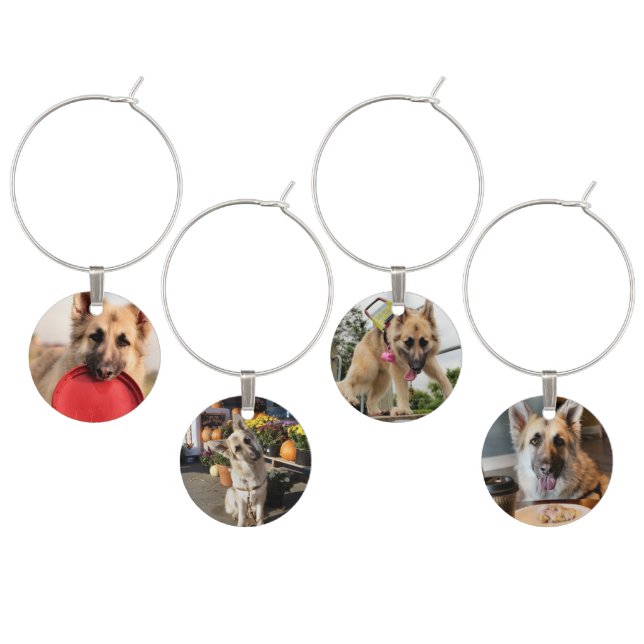 Frisbee Golf Ball Marker Wine Charm (Staggered)