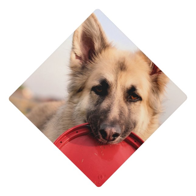 Frisbee Graduation Cap Topper (Front)