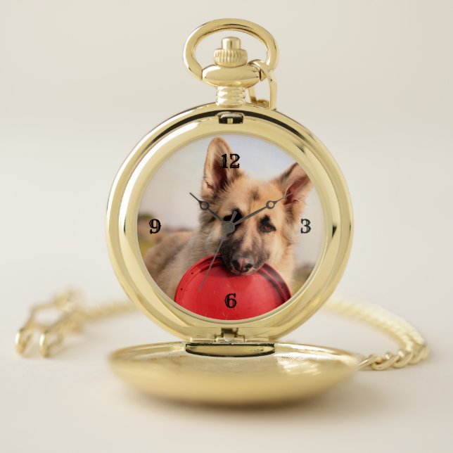 Frisbee L Pocket Watch (Inside)