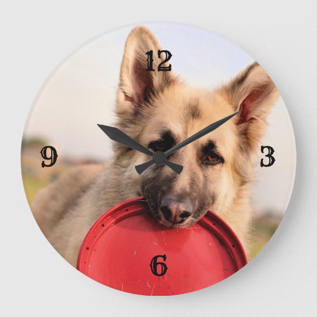 Frisbee Large Clock (Front)