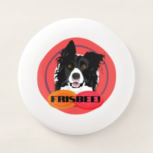 Frisbee loving Dog