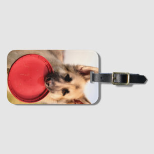 Frisbee    luggage tag