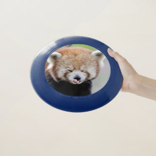 Frisbee Photo red panda , animals 0265.