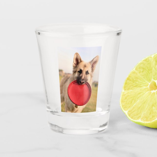 Frisbee Shot Glass (Front)