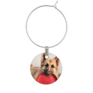 Frisbee Wine Charm