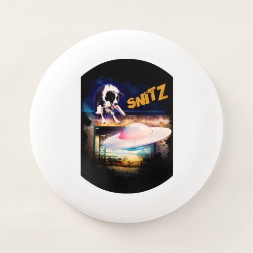 frisbee with Snitz from Bobs Saucer Repair