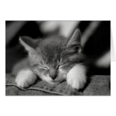 Frisco (Front Horizontal)