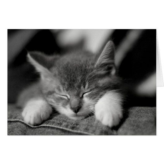 Frisco (Front Horizontal)