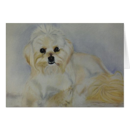 "Frisky" (Front Horizontal)