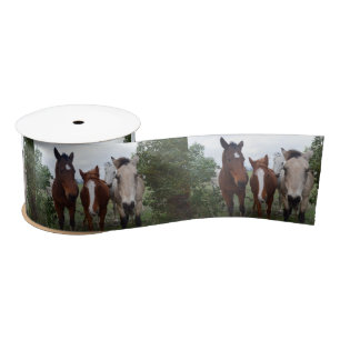 Frisky Hair: Delightful Horse Troubles,  Satin Ribbon