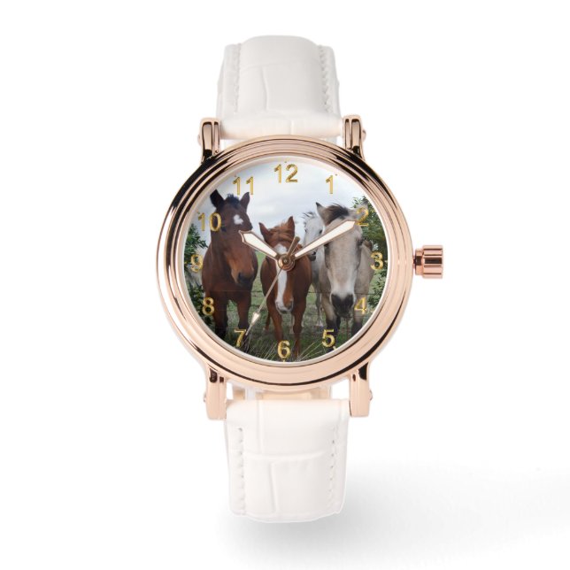 Frisky Hair, Four Horse Pals, Watch (Front)