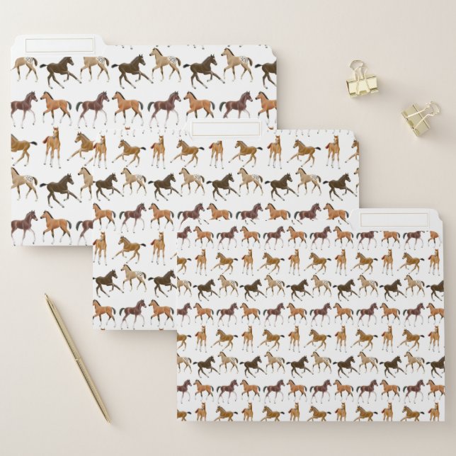 Frisky Horse Foals File Folders (Set)