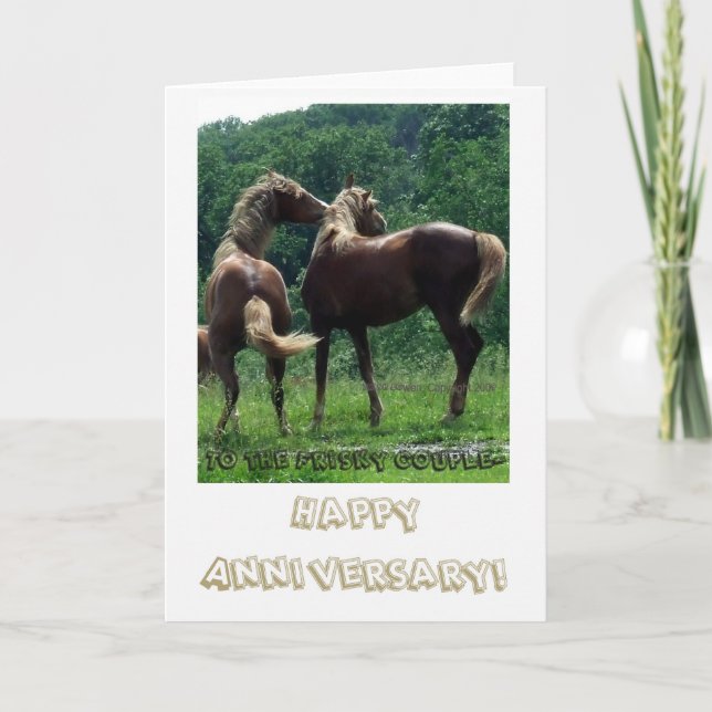 Frisky Horses Anniversary Couple Card (Front)