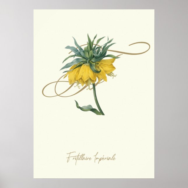 Fritillaire Poster (Front)