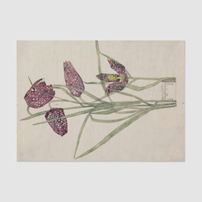 Fritillaria by Charles Mackintosh Tissue Paper (Front)