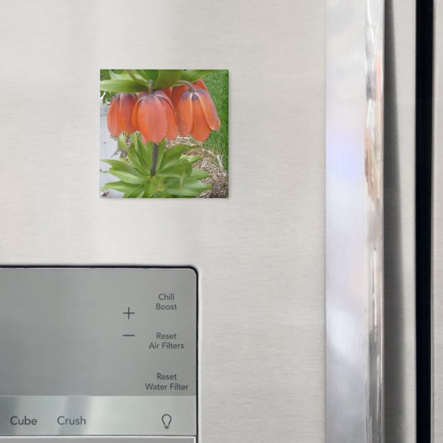 Fritillaria Imperialis Orange Flowers Magnet (In Situ (Fridge))