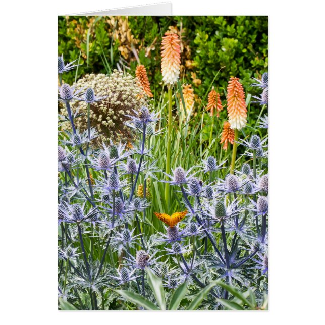 Fritillary Butterfly In A Summer Garden Cards (Front)
