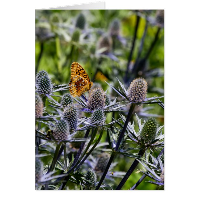 Fritillary Butterfly On Blue Thistle Vertical (Front)