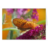 Fritillary Colors - Butterfly (Front Horizontal)