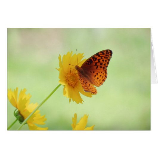 Fritillary Fun - Butterfly Cards (Front Horizontal)
