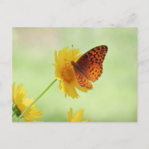 Fritillary Fun - Butterfly Postcard