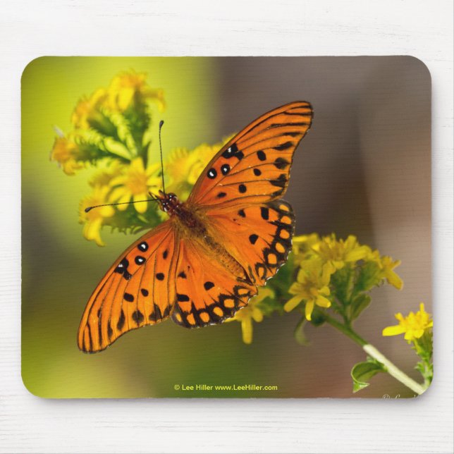 Fritillary Gulf Butterfly Gifts and Apparel Mouse Pad (Front)