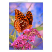 Fritillary on Blue - Bright Butterfly (Front)