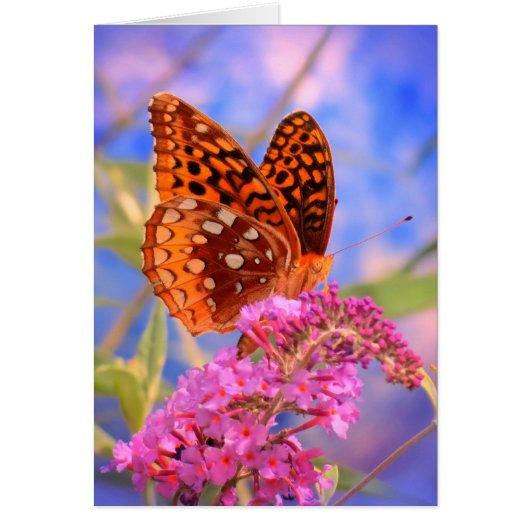 Fritillary on Blue - Bright Butterfly Cards (Front)