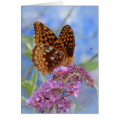 Fritillary on Blue - Butterfly (Front)
